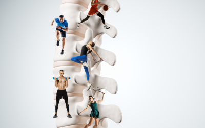 The moving parts in your spine are like athletes